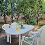 Orange Tree