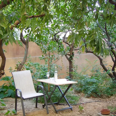 Orange Tree