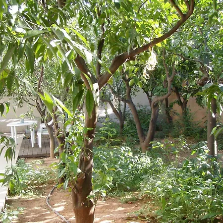 Apartment Orange Tree *