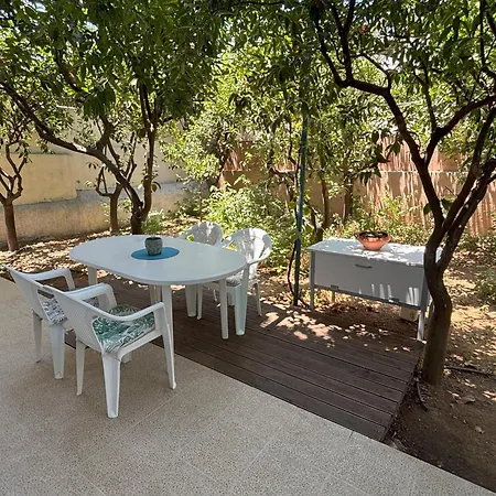 Orange Tree * Chania (Crete)