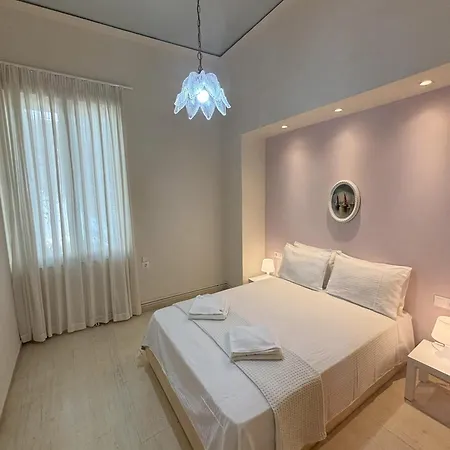 Orange Tree 하니아