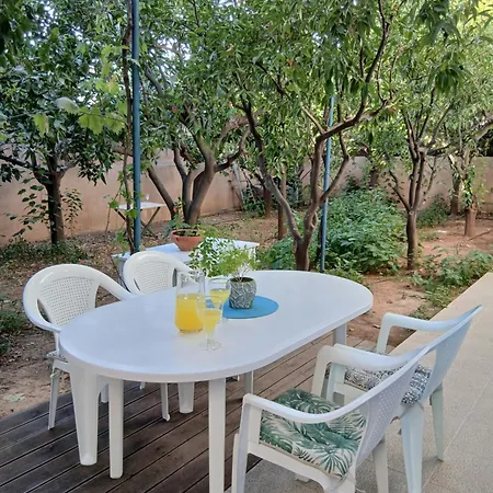 Orange Tree