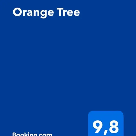 Orange Tree * Ханья