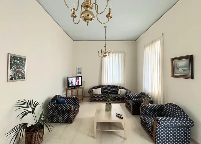 Orange Tree 하니아