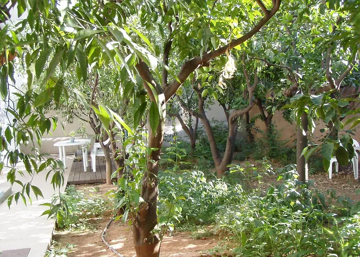 아파트 Orange Tree *