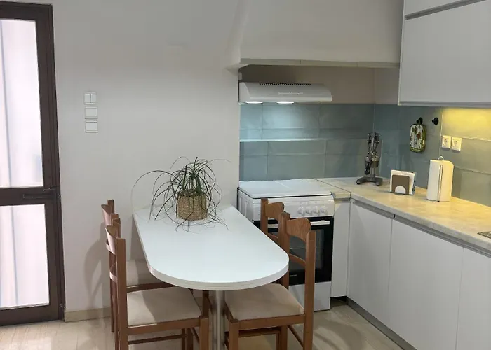 Orange Tree 하니아