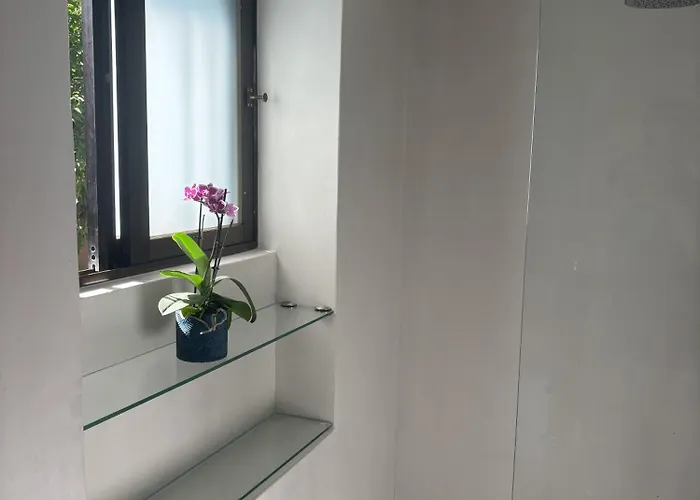 Orange Tree 아파트 하니아