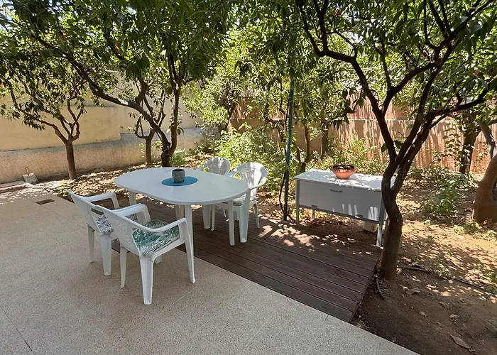 Orange Tree * 하니아