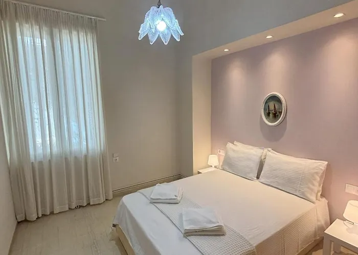 Orange Tree 하니아