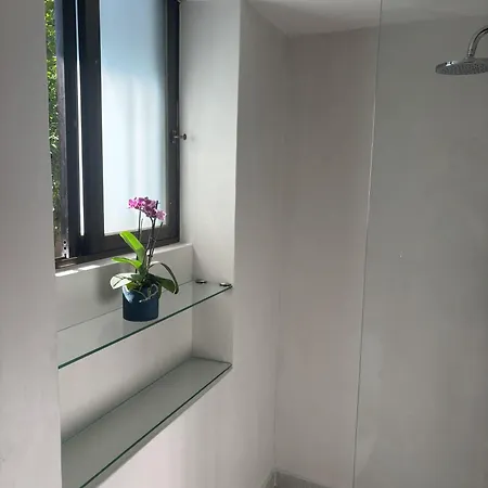 Orange Tree 公寓 干尼亞