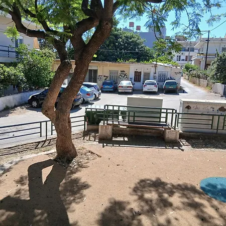 Orange Tree 干尼亞